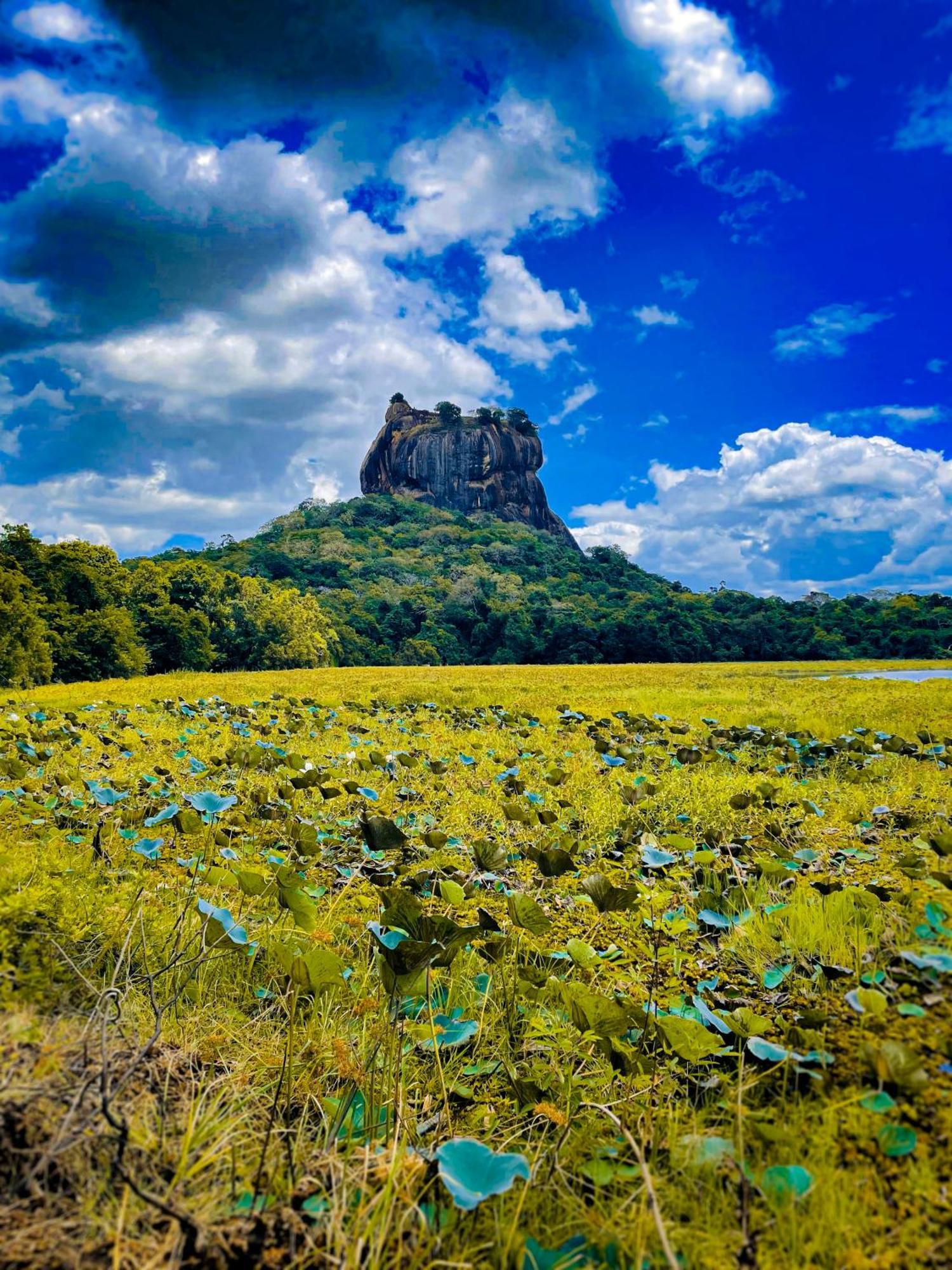 The Lotus Villa Sigiriya Esterno foto